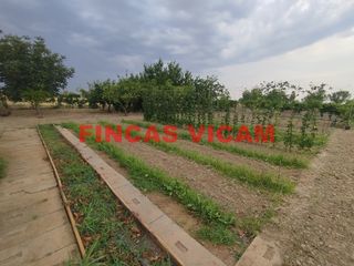 Finca rústica a Pedanías. Terreno en venta vicien y tabernas de isuela (huesca) – 4.000 m²