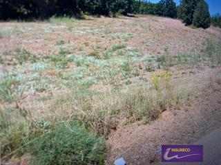 Landgut  N/a. Parcela rustica en santovenia del monte