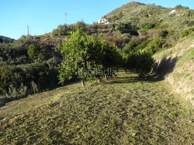 Foto a48d64d8-4440-49f2-9e3c-7aed39555253. Chalet en El Álamo - Arbejales Teror
