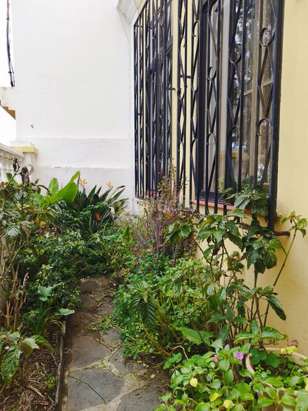 Foto af672198-e539-4356-b7e2-1c475d9471fb. Casa amb aparcament a Tafira Palmas de Gran Canaria (Las)
