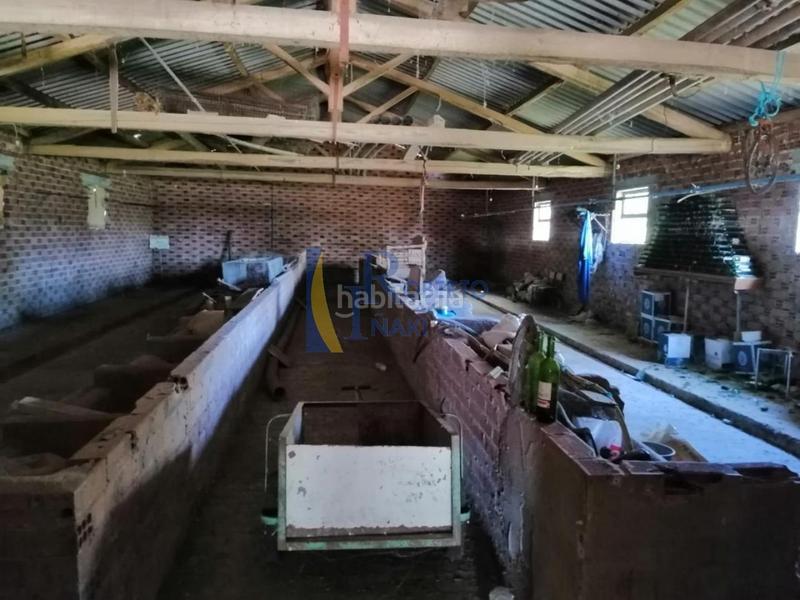 Foto ebff1beb-e6d5-48af-a21a-706604794be3. Bâtiment à usage industriel dans Gordoncillo