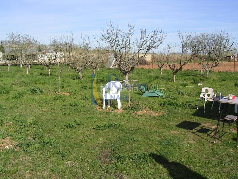 Foto 3bcf9bfa-c560-4ae0-a8b5-24d16cf9bf06. Finca rústica a Villamañán