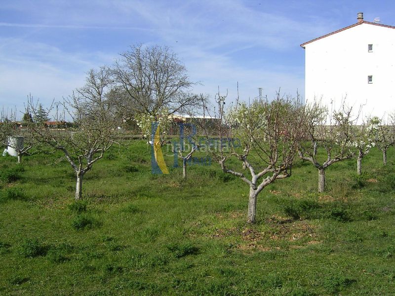 Foto c76c84c3-b92c-4d21-b972-69f6c2a2a211. Finca rústica a Villamañán