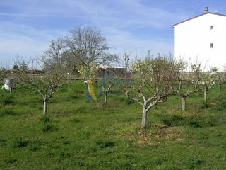 Wohngrundstück in Villamañán