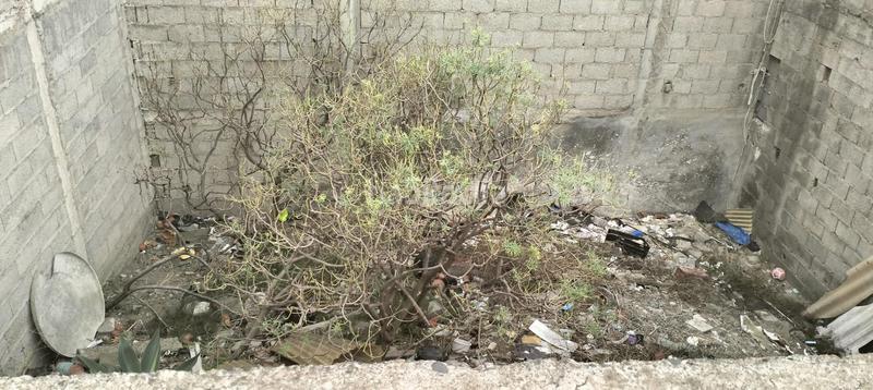 Foto 0cd06f1d-1f26-468e-ad21-34f81ae893d5. Terrain résidentiel dans Almatriche Palmas de Gran Canaria (Las)