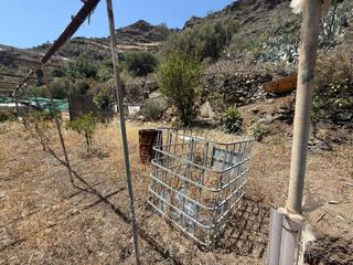 Finca rústica a Caserones - La Higuera. Finca rustica en venta en la gavia de telde