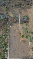 Rural plot  Calle garabato. Tu rincón de paz con potencial ilimitado! terreno agrícola en ho