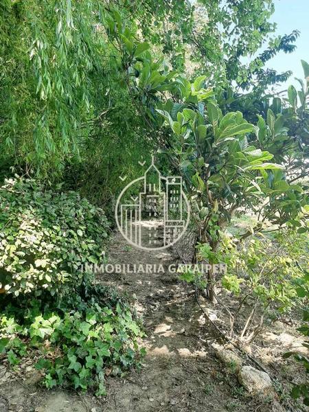 Foto 6fa95be9-a57e-4905-ab5e-7124c23a51aa. Finca rústica se vende finca de recreo en Olite