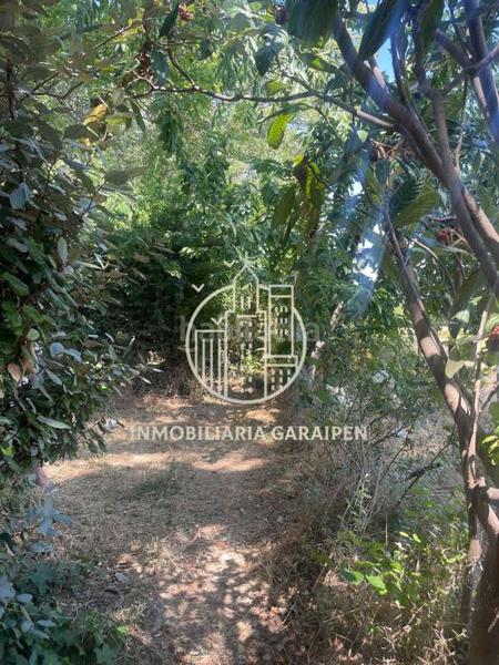Foto 9ac68224-f705-44e2-8690-2f8ea1cb303a. Finca rústica se vende finca de recreo en Olite