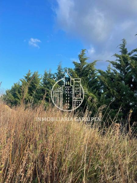 Foto 6c3f3fcb-e51c-42b6-b6a0-cd00fda7a4db. Nave industrial se vende nave industrial en construcción en Olite