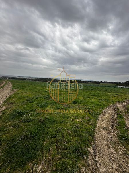 Foto 2ea219a3-9688-43fb-b0a8-45df637b63b3. Finca rústica a Murillo el Cuende