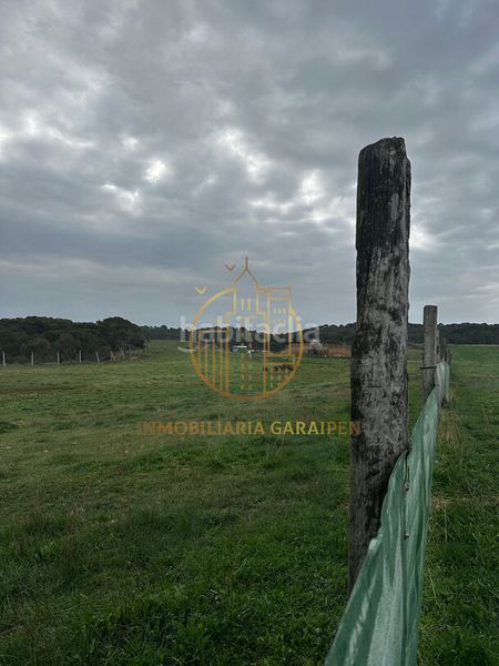 Foto 3fdfaf31-cd58-46f5-aea0-dd112cad2125. Finca rústica a Murillo el Cuende