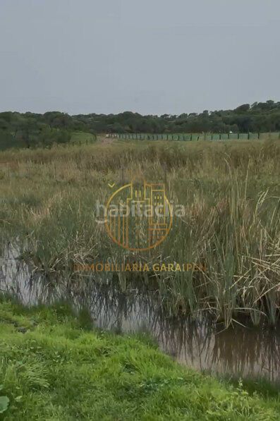 Foto 49a23e64-0aa2-4b0a-a533-56de72eee64a. Finca rústica a Murillo el Cuende