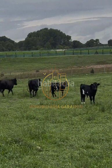 Foto 72ba1080-82a1-41fc-bdda-88d5b5b1935b. Finca rústica a Murillo el Cuende