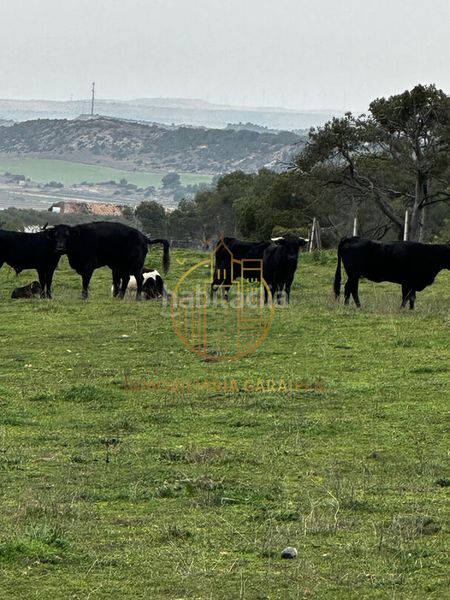 Foto 8db56261-fc43-45e5-be76-cd524e48174d. Finca rústica a Murillo el Cuende