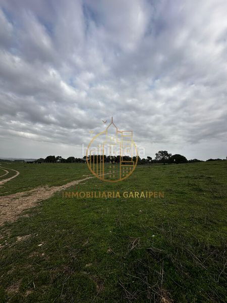 Foto bf30b12a-9c44-46eb-a0dc-3b96ee3f7eb1. Finca rústica a Murillo el Cuende