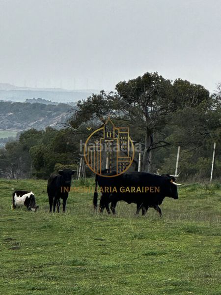 Foto c1b17a5c-7c94-46cd-96f9-d38062037d0a. Finca rústica a Murillo el Cuende