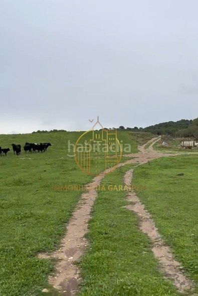 Foto c8a5afd1-e402-4a8b-8df5-4f669d92531e. Finca rústica a Murillo el Cuende
