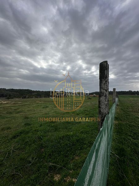 Foto ce738391-947c-4b4f-b8d4-6999bf0b85b2. Finca rústica a Murillo el Cuende