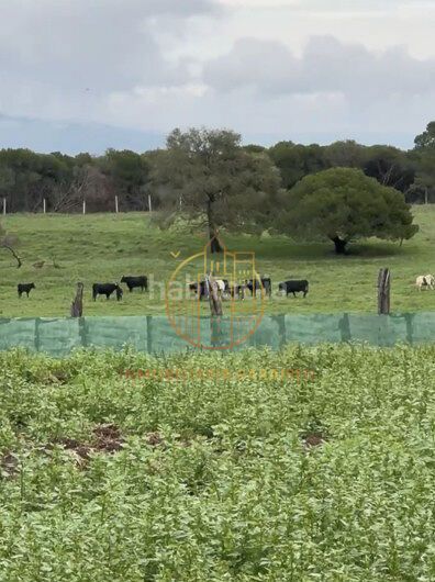 Foto d006adb7-6958-497f-b926-197fe01c85d8. Finca rústica a Murillo el Cuende