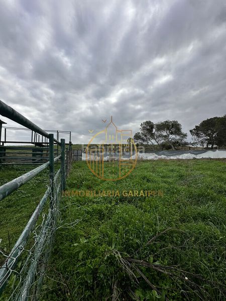 Foto d60a3806-b6ac-41e8-bb24-6e94026557d9. Finca rústica a Murillo el Cuende