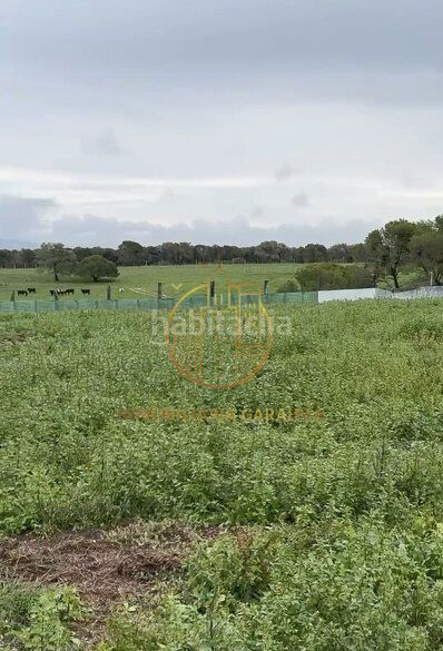 Foto d967175e-5050-4a99-a57f-c7b879617cf6. Finca rústica a Murillo el Cuende