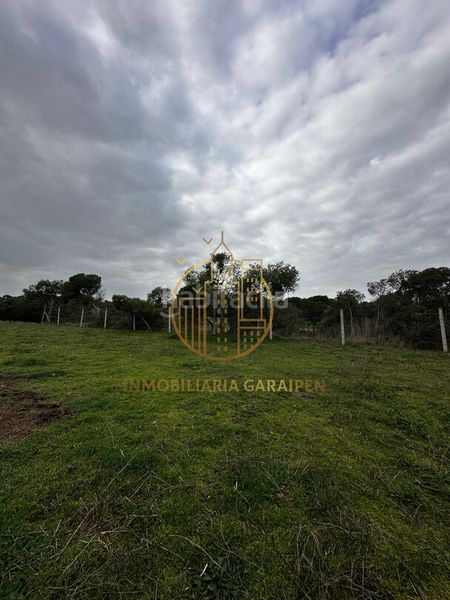 Foto e90c90ca-a903-4794-92c6-347a54450d7e. Finca rústica a Murillo el Cuende