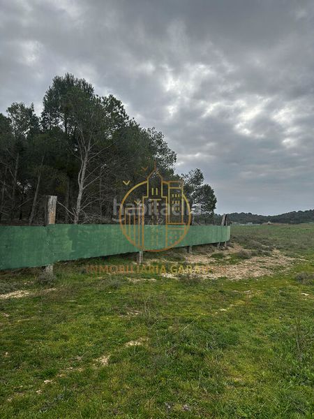Foto e92b647d-ceeb-4c18-97c0-a0d5e352979d. Finca rústica a Murillo el Cuende
