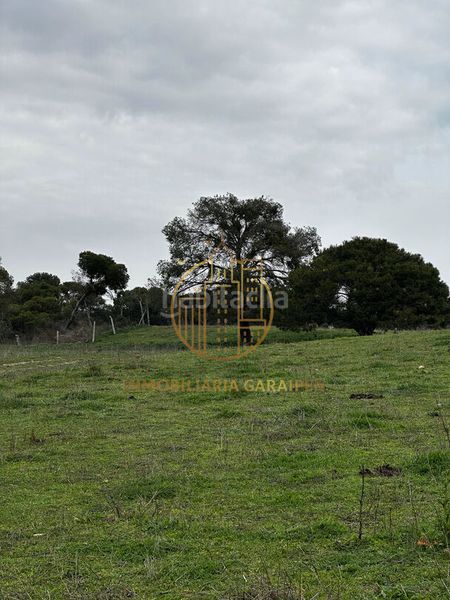 Foto ff28952f-0696-480c-9d06-8b97ab6e21bb. Finca rústica a Murillo el Cuende
