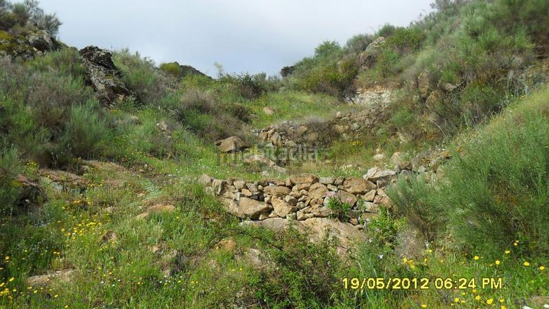 Foto 32d1e4b9-d370-4a8e-a4d0-4faed113cbd5. Finca rústica en Pereña de la Ribera