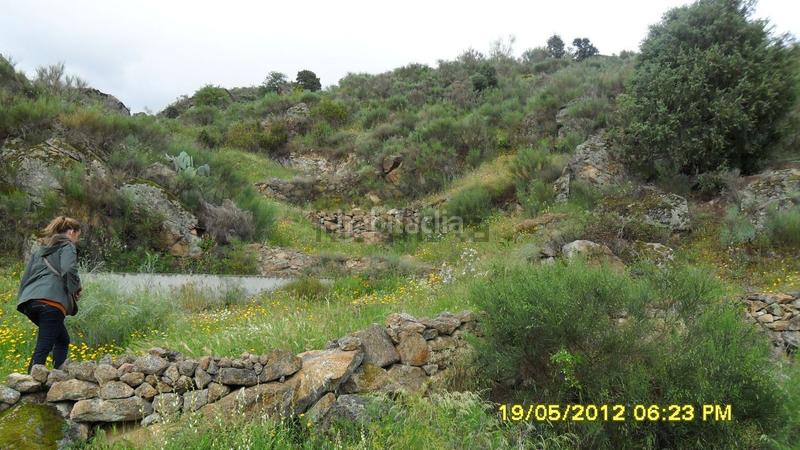 Foto d55c1a58-6671-4f20-b445-490871a39436. Finca rústica en Pereña de la Ribera