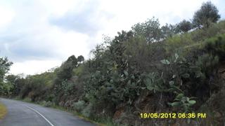 Rural plot in Pereña de la Ribera