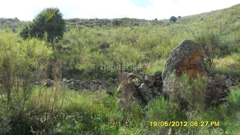 Foto db7f922b-1c1c-4da5-ac43-13f7ff473899. Finca rústica en Pereña de la Ribera