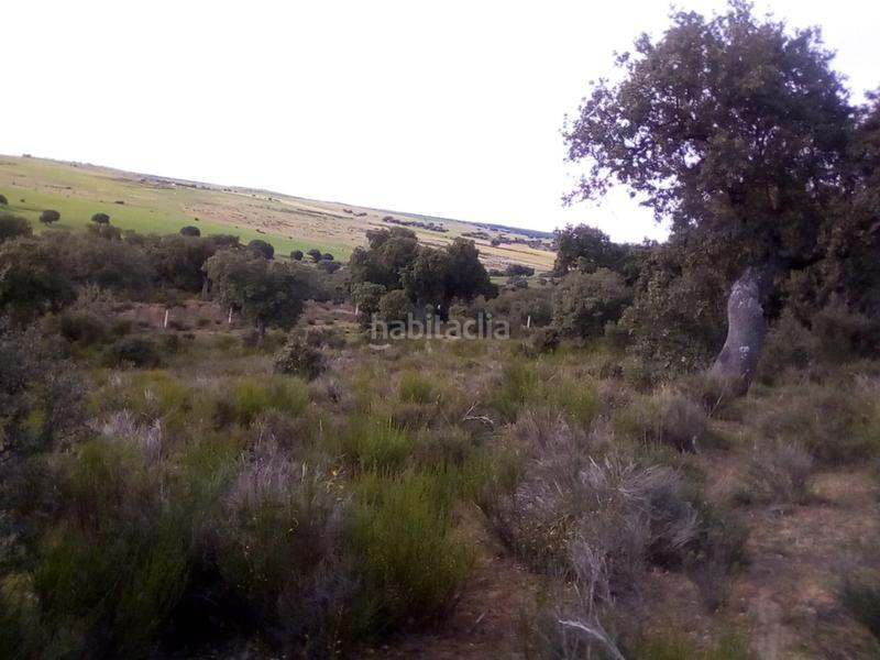 Foto 0d33699b-a3b0-4ffd-9ecd-4a815bd8684c. Fondo rustico in Ledesma
