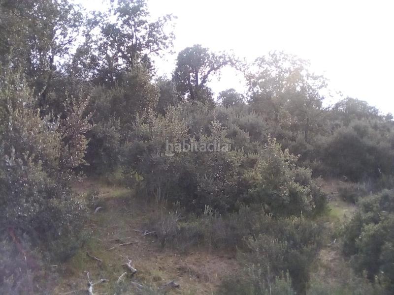 Foto 2f390198-9875-45b4-9ae8-6fcbe44a8696. Fondo rustico in Ledesma