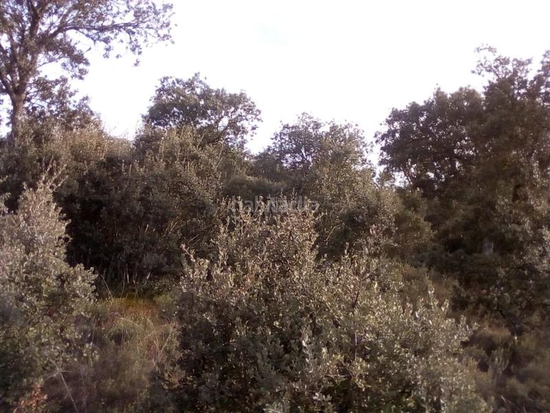 Foto 41cd311d-7372-42a4-86f0-35e7fa54d57a. Fondo rustico in Ledesma
