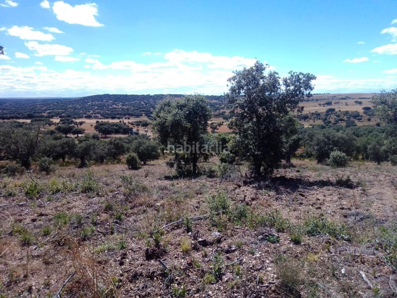 Foto 437bc082-9deb-44f4-9602-313875ac3b94. Fondo rustico in Ledesma