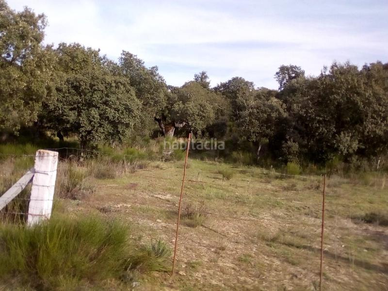 Foto 4fab196d-63ac-4d43-889a-0fb4779304e0. Fondo rustico in Ledesma