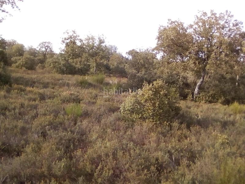 Foto 7b5922a2-0c68-4032-b923-b720ff637dd4. Fondo rustico in Ledesma