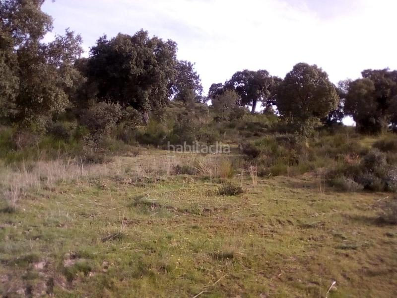 Foto 80943d3b-1819-4725-8798-4a8f5d24cd19. Fondo rustico in Ledesma