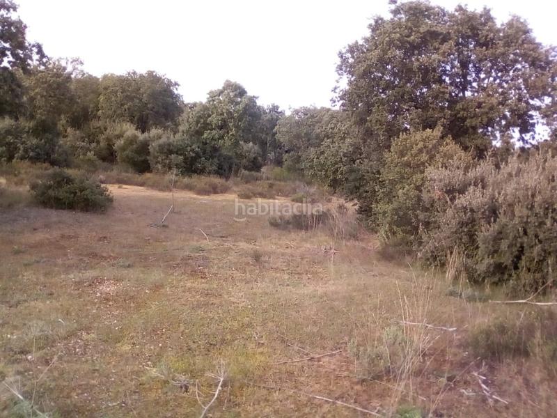 Foto 9ab763ac-15a3-4326-93c8-fbc8a4a284f5. Fondo rustico in Ledesma