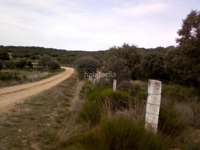 Foto 9ef2abd6-4204-4f16-897b-9136834ec6fe. Fondo rustico in Ledesma