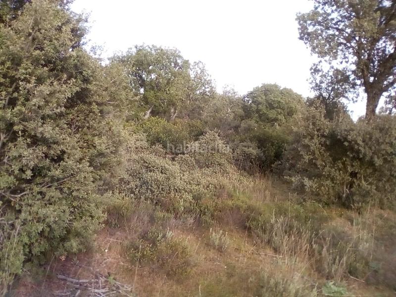 Foto ab607de2-8064-4343-be84-3ca1e1303e2d. Fondo rustico in Ledesma