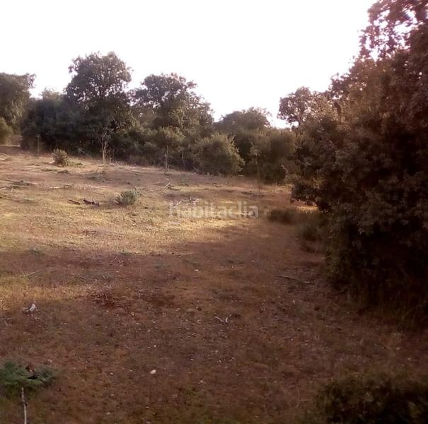 Foto afd04f20-f5fc-46fd-add9-2e91d8bd6932. Fondo rustico in Ledesma