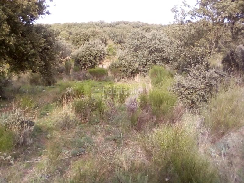 Foto c0dfa4cc-6463-492b-a931-c54e53cb134d. Fondo rustico in Ledesma
