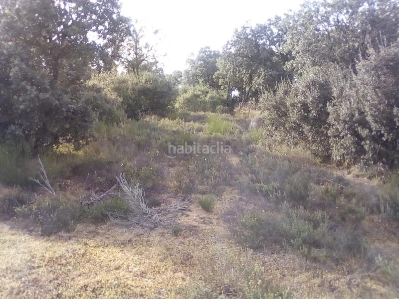 Foto c550a702-60fa-4abc-981b-746bc262b86b. Fondo rustico in Ledesma