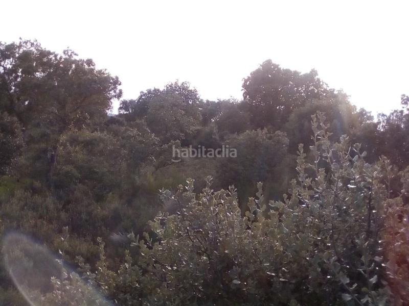 Foto d72d6d9d-c3e5-4fae-80f6-fbb19aff61f7. Fondo rustico in Ledesma