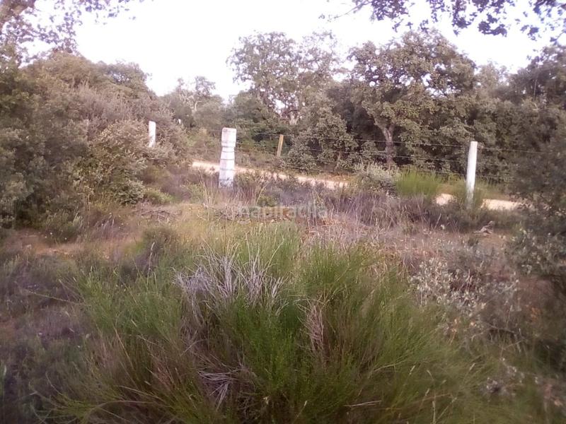 Foto e03b5a47-dc16-4266-9d27-a1213771d349. Fondo rustico in Ledesma
