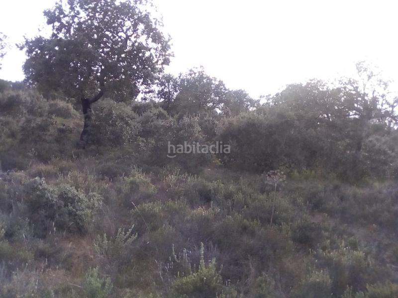 Foto eda42c2d-3b4c-435b-83dd-8f736e703990. Fondo rustico in Ledesma