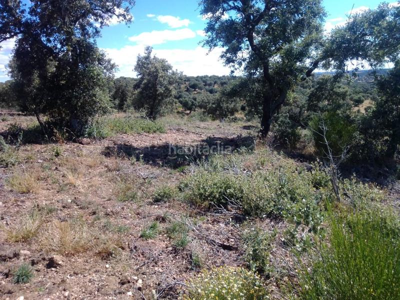 Foto 12c82ad9-72a4-450e-9a7b-779869bf9d23. Landgut in Ledesma